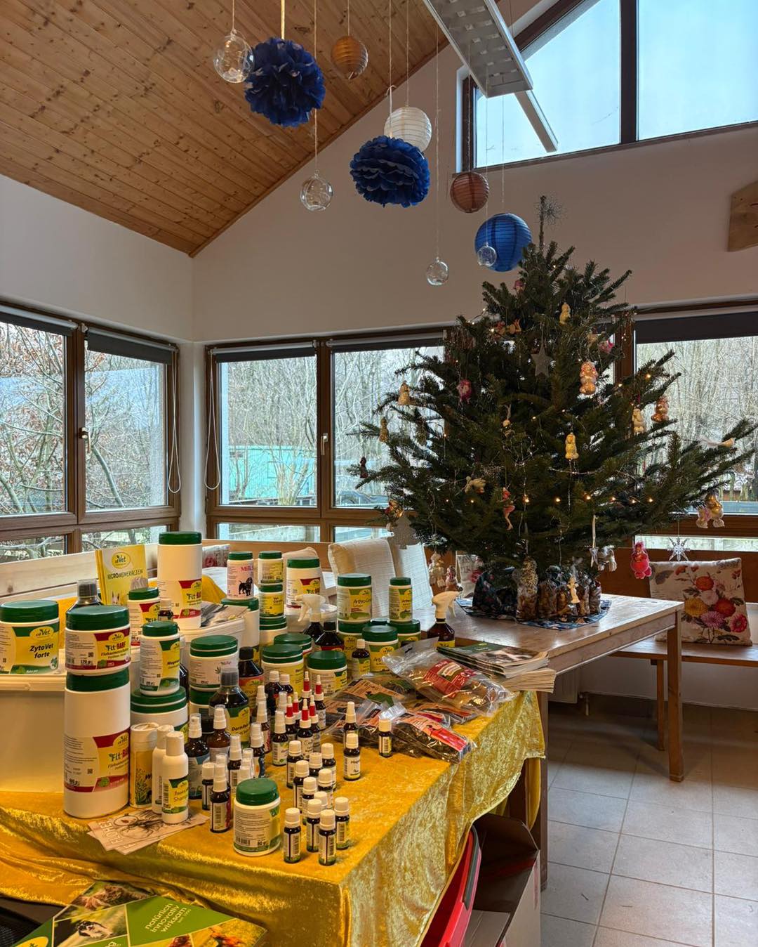 597389601_122111129151093196_5988771745860838838_n