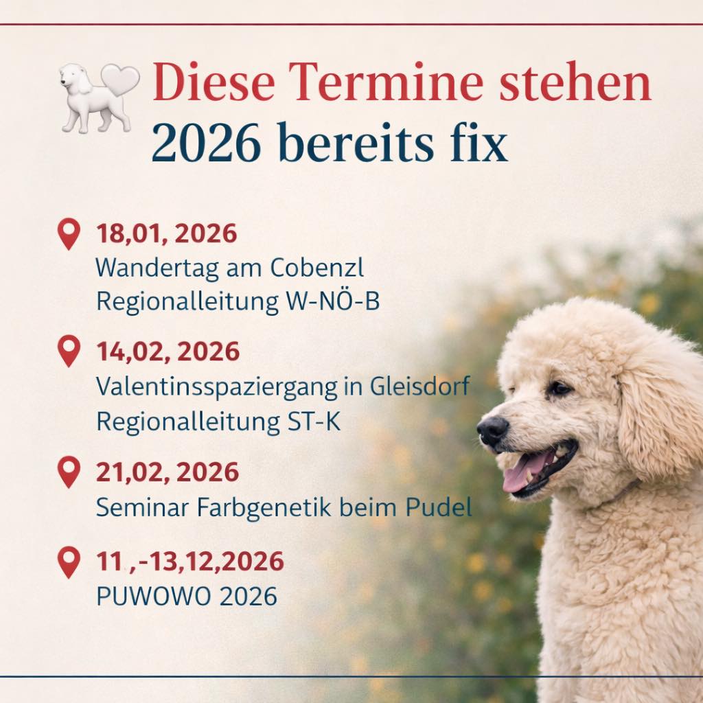 608893338_122114692767093196_2914204862131416888_n