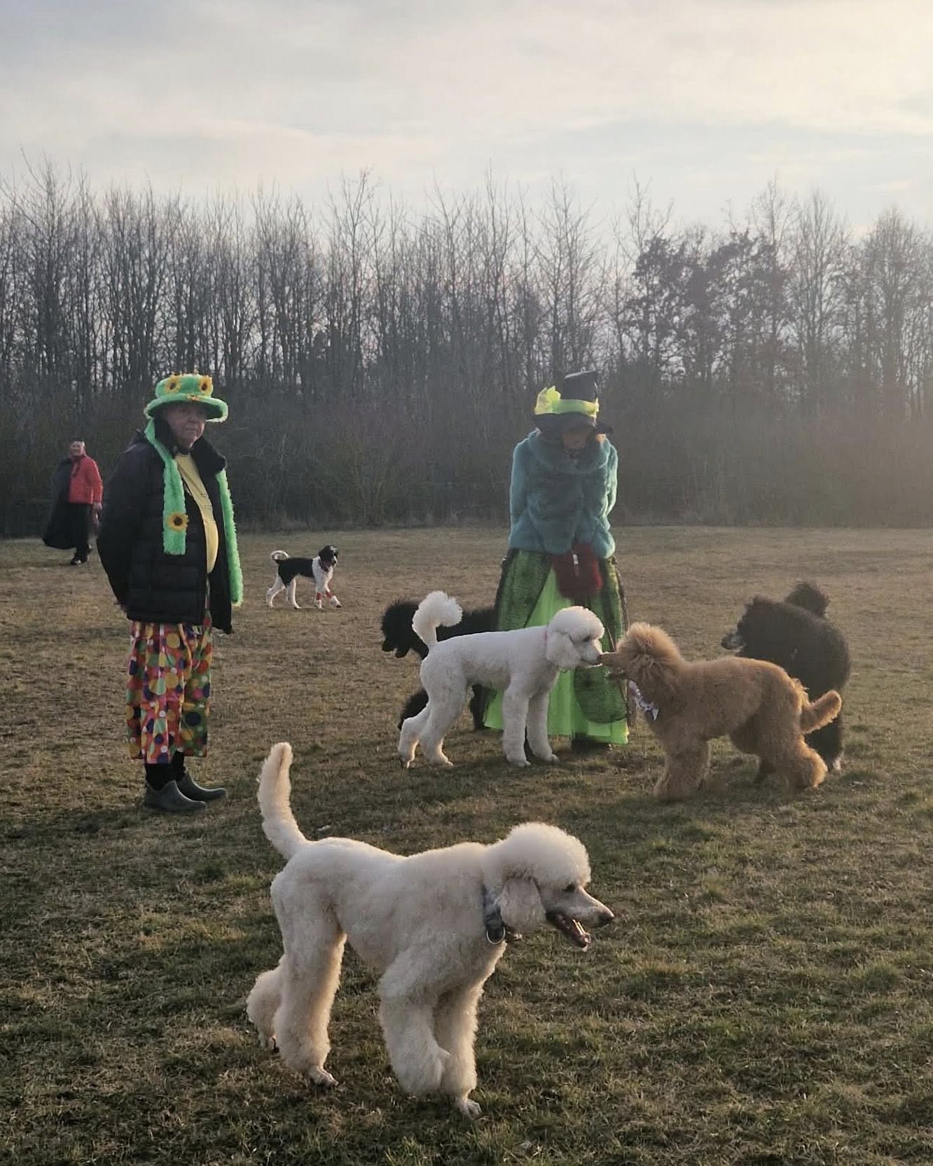 627203886_122120580327093196_2760694527864495427_n