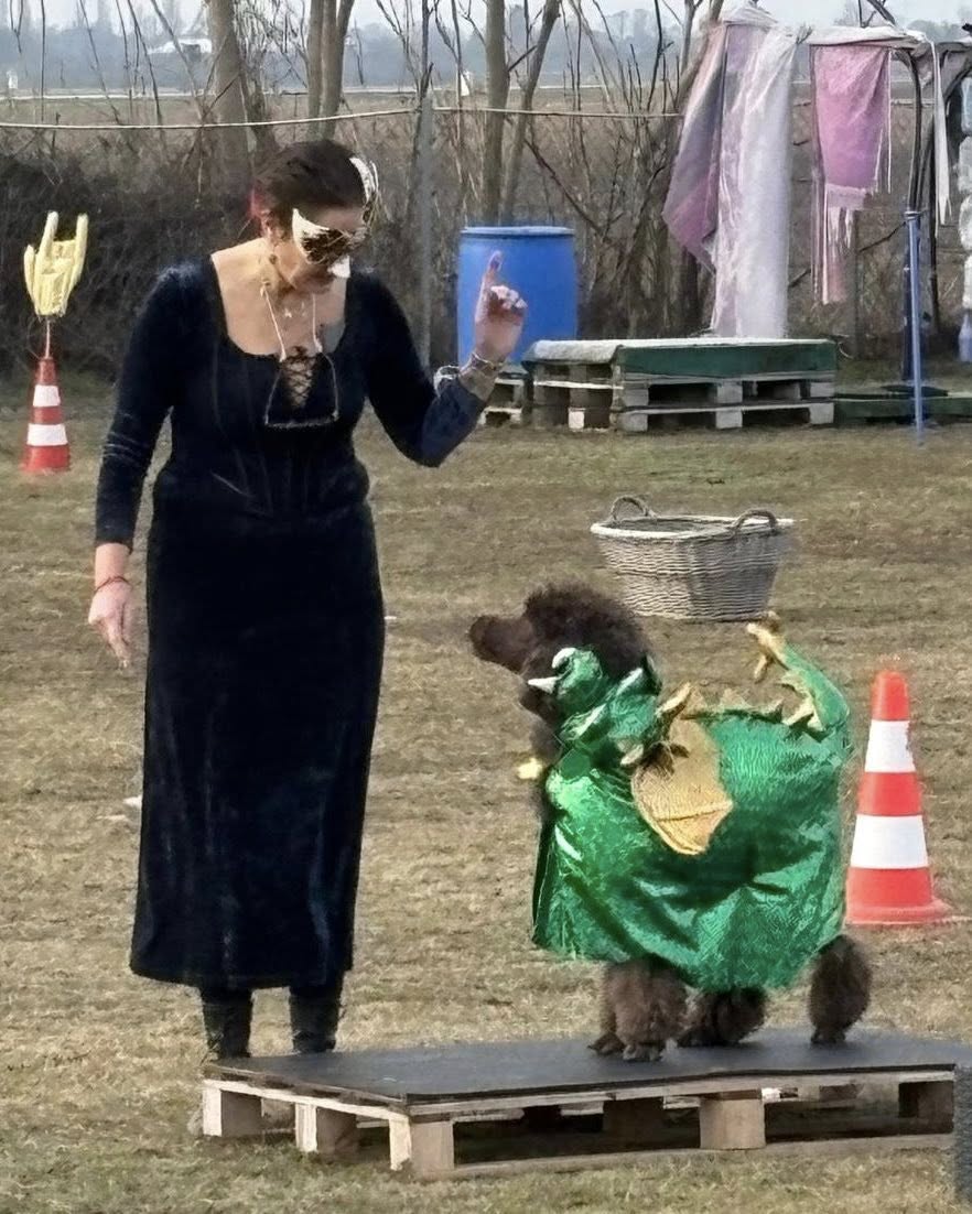 629218718_122120580303093196_4013369850788828225_n