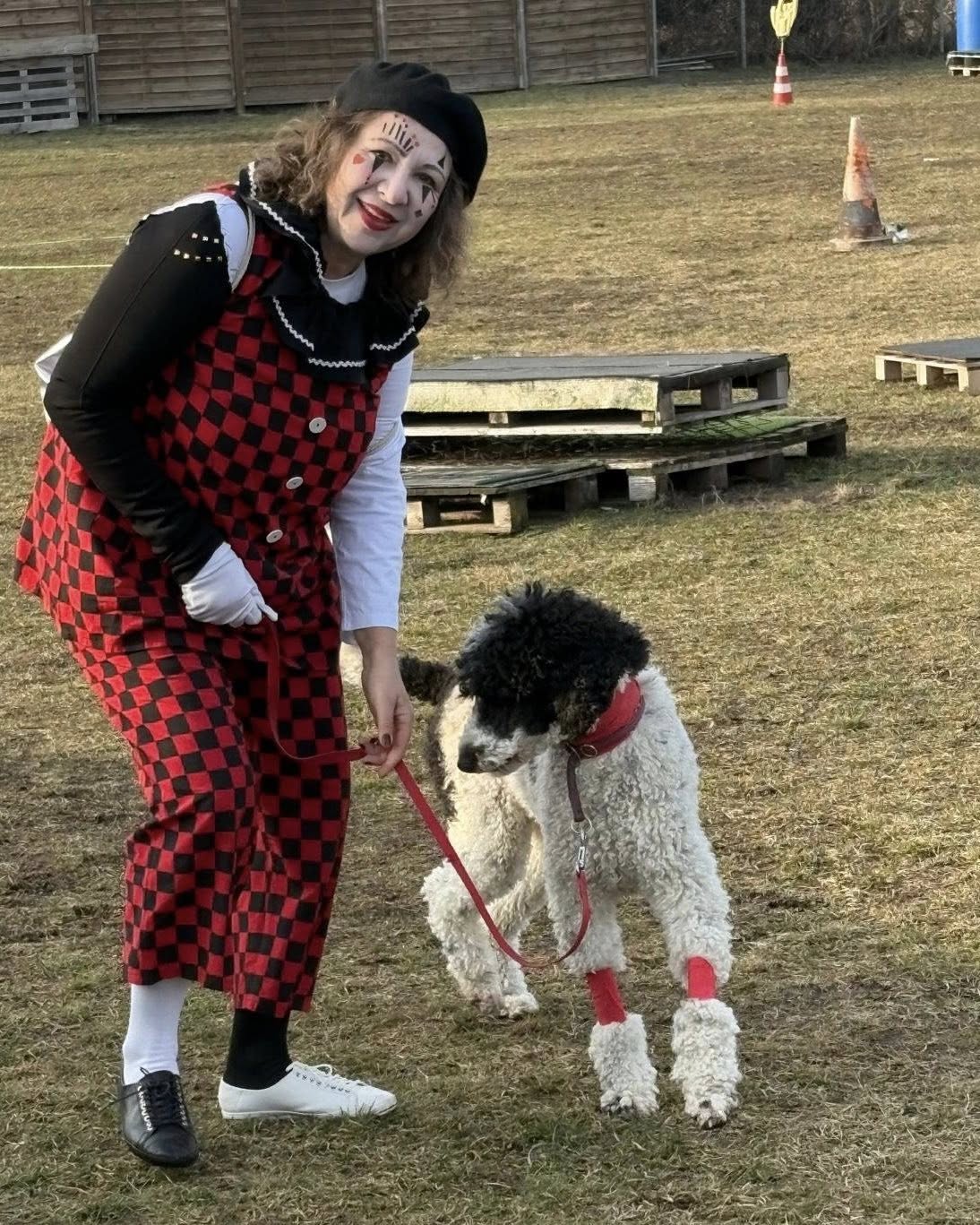 629225546_122120580417093196_2668514076510787126_n