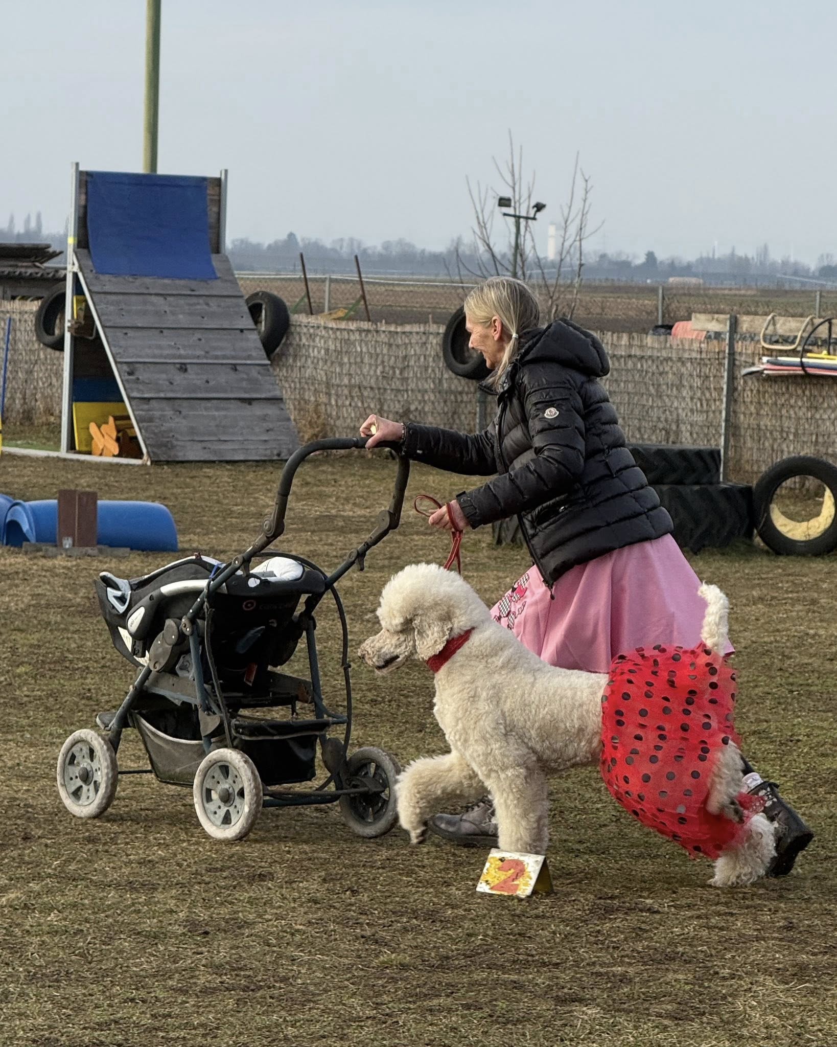 629681406_122120580387093196_4290737273628484941_n