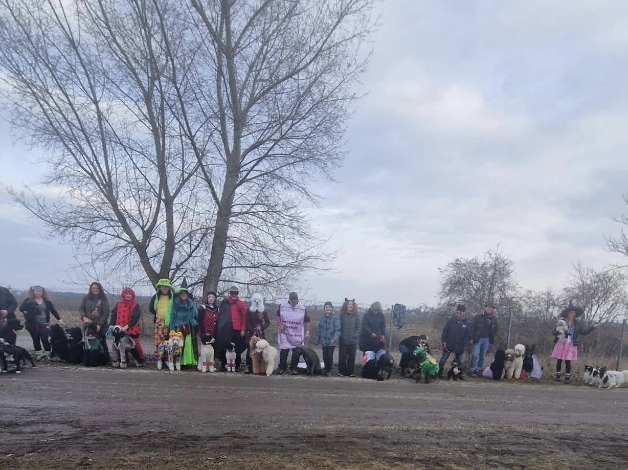 630478108_122120580153093196_2884434671555465149_n