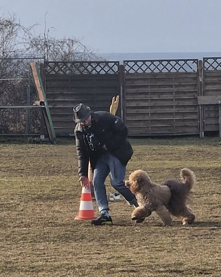 631043302_122120580471093196_3563197434142415548_n