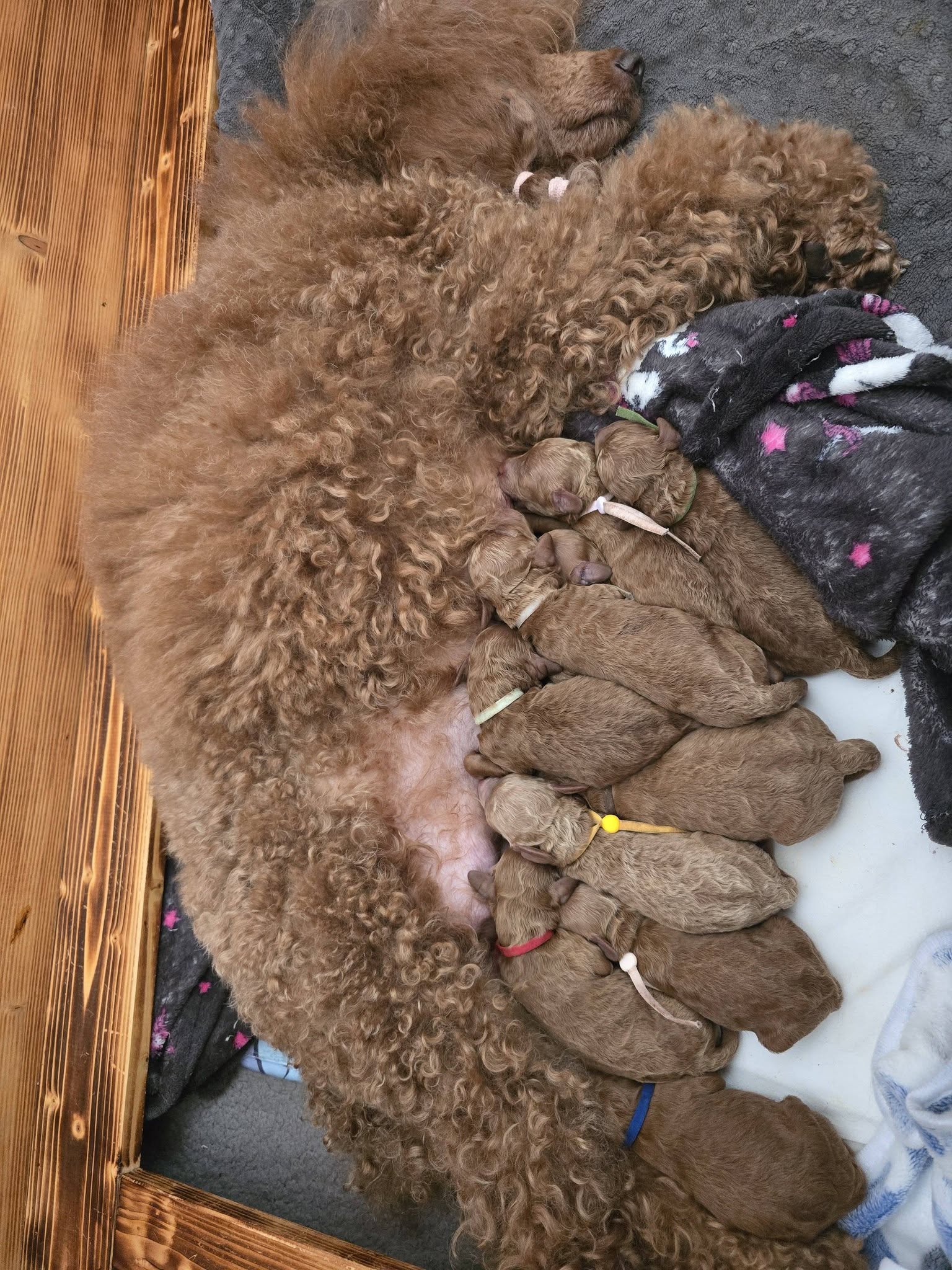 651189481_1584693615971159_1530464496998936412_n