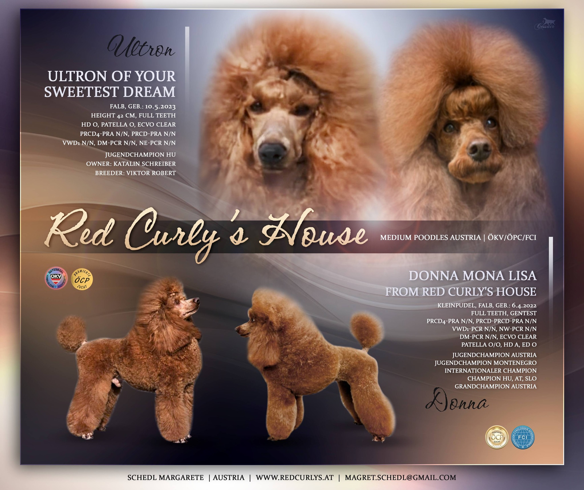 651205610_1584693565971164_3254177876385178973_n