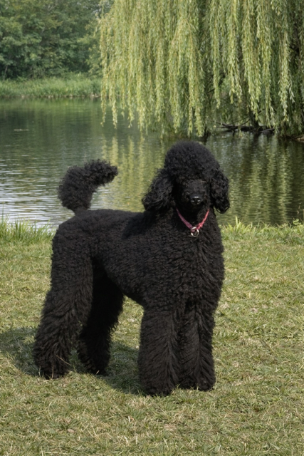 9EB820C7-6368-4A28-8195-FF3E327EBF3C